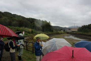 現在の取入口（東北電力(株)板倉分水池）２