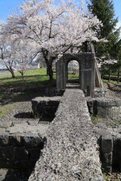 上江用水記念公園の春4