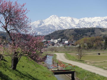 さぁ跳ね馬でたぞ、始めるか！